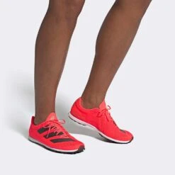 ADIDAS ADIZERO XC Sprint Spike - Signal Pink/Core Black/Cloud White-Regular (D) 18 ADIDAS ADIZERO XC Sprint Spike - Signal Pink/Core Black/Cloud White-Regular (D) -Sports Store Adizero XC Sprint Shoes Pink EG8454 010 hover standard