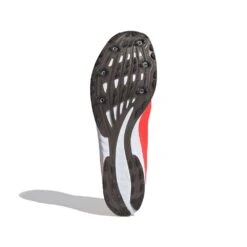 ADIDAS ADIZERO XC Sprint Spike - Signal Pink/Core Black/Cloud White-Regular (D) 17 ADIDAS ADIZERO XC Sprint Spike - Signal Pink/Core Black/Cloud White-Regular (D) -Sports Store Adizero XC Sprint Shoes Pink EG8454 03 standard