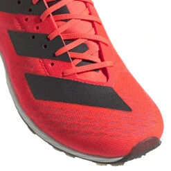 ADIDAS Women's Adizero XC Sprint Spike - Signal Pink/Core Black/TWR White- Regular (B) 11 ADIDAS Women's Adizero XC Sprint Spike - Signal Pink/Core Black/TWR White- Regular (B) -Sports Store EG8462 03