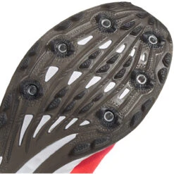 ADIDAS Women's Adizero XC Sprint Spike - Signal Pink/Core Black/TWR White- Regular (B) 12 ADIDAS Women's Adizero XC Sprint Spike - Signal Pink/Core Black/TWR White- Regular (B) -Sports Store EG8462 04