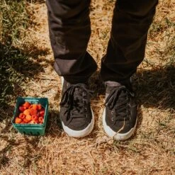 Men's X-Scape NBK Low Sneaker - Black/White - Regular (D) -Sports Store mens x scape nbk low black white ls 1 800x 3a6d1a12 7fd3 4c79 ac9d 13c24d0fd9ec