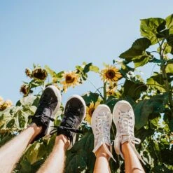 Men's X-Scape NBK Low Sneaker - Black/White - Regular (D) -Sports Store mens x scape nbk low black white ls 2 800x 19e1401c ae96 4599 a957 64c89760f645