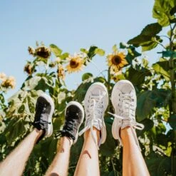 Women's X-SCAPE NBK Low Sneaker - Blanc/Light Grey - Regular (B) 20 Women's X-SCAPE NBK Low Sneaker - Blanc/Light Grey - Regular (B) -Sports Store womens x scape nbk low blanc light grey ls 3 800x 70e971bc eee0 4189 bdde 434a0688a562